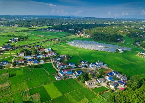 湖南：靶向发力盘活存量土地资产<br>为206家机关企事业单位定制处理方案，，，，盘活土地2.6万亩