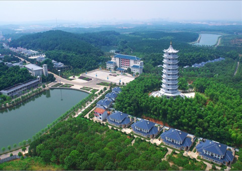 湖北：用好“一张图” ，，，，智治有支持